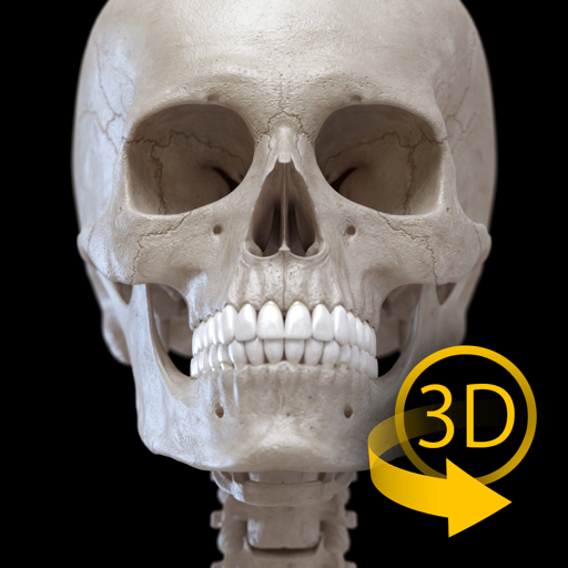 骨骼 - 人体解剖学3D互动图集