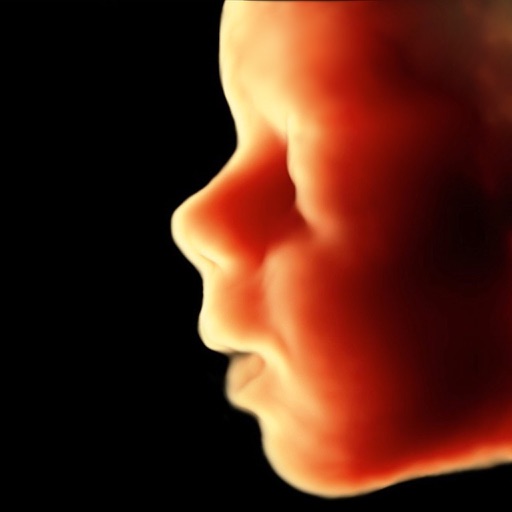 ScanBaby - 扫描宝贝 学习婴儿超声波