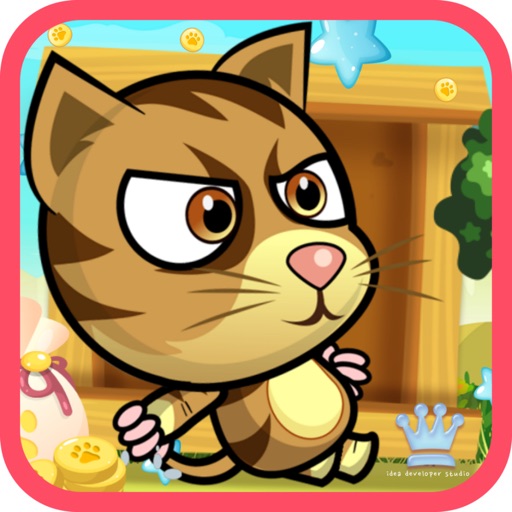超级猫我的英雄：一个有趣的战斗冒险游戏为孩子们