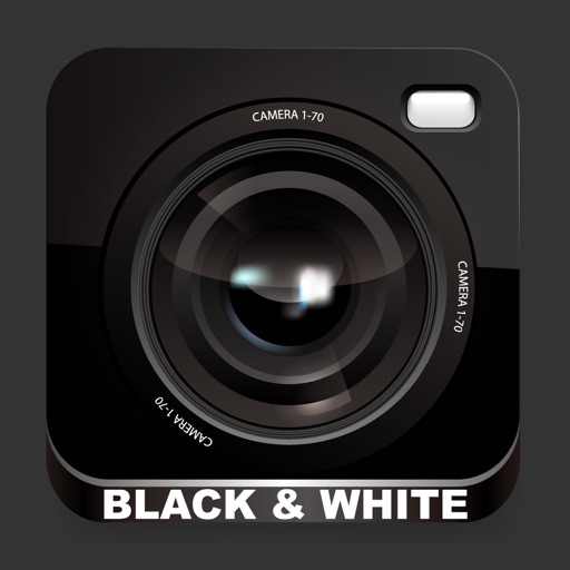 B&W Camera - 黑与白的美