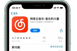 苹果网易云音乐歌词怎么显示在屏幕上