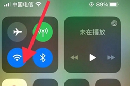 苹果手机wifi密码怎么查看