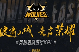 王者荣耀重庆狼队战队成员介绍