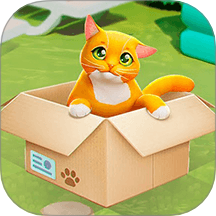 小小猫之家